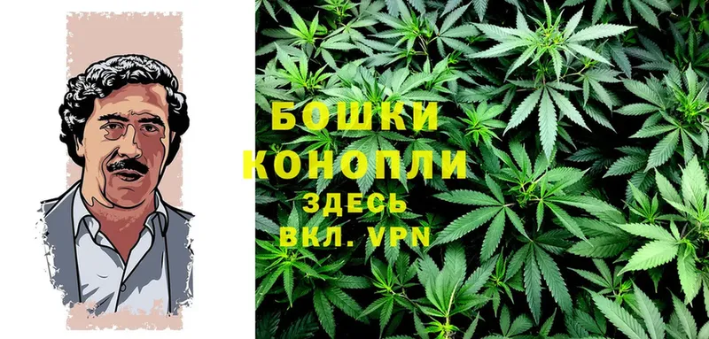 Канабис SATIVA & INDICA  Белореченск 